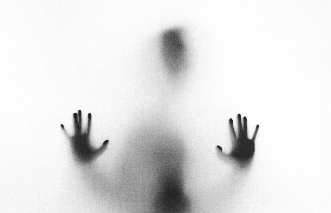 LES NEUROSCIENCES DE LA PLASTICITÉ